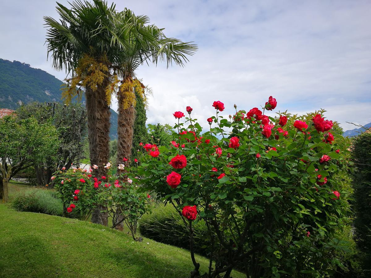 Bellagio View Ferienhaus Oliveto Lario