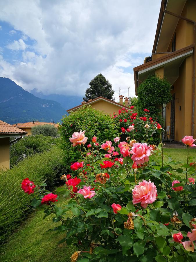 Ferienhaus Bellagio View